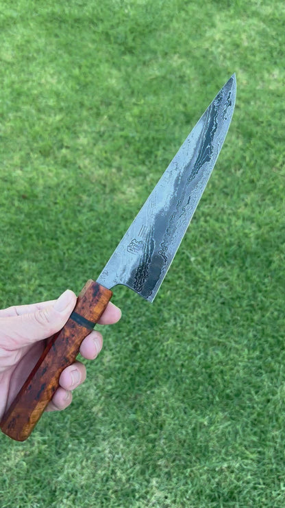 7.75” Double Dammy Chef